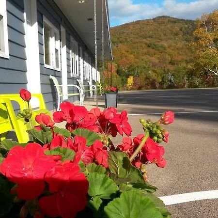 Cornerstone Motel Chéticamp エクステリア 写真