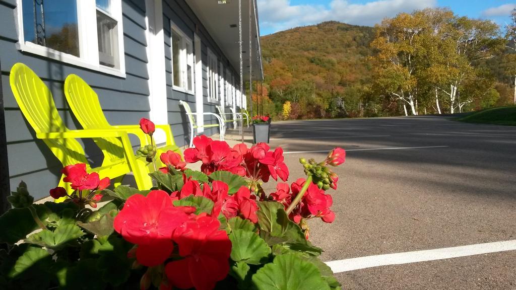 Cornerstone Motel Chéticamp エクステリア 写真
